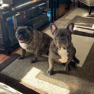 Meet your Posher, Bhern